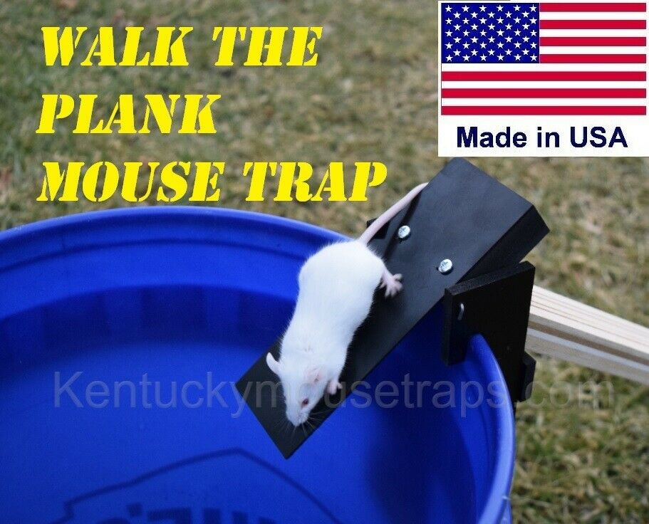 Walk The Plank Mouse Trap - Plastic